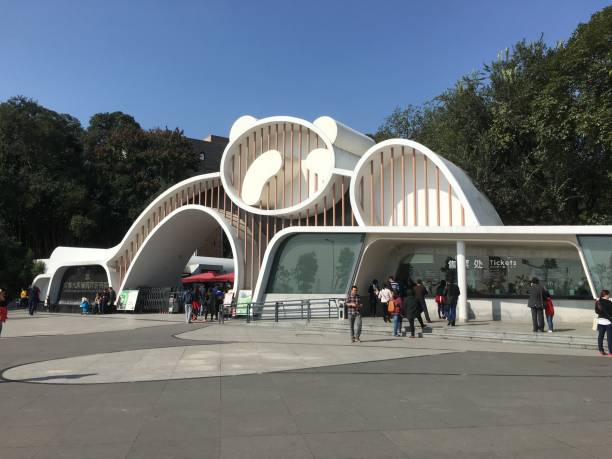 Panda Breeding park