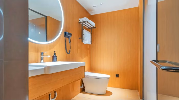 Modern Western-style Bathrooms