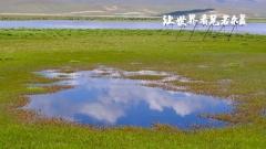 Ruoergai Travel Guide: First Bend of the Yellow River, Huahu Wetland, Ometang Flower Sea & Essential Plateau Travel Tips