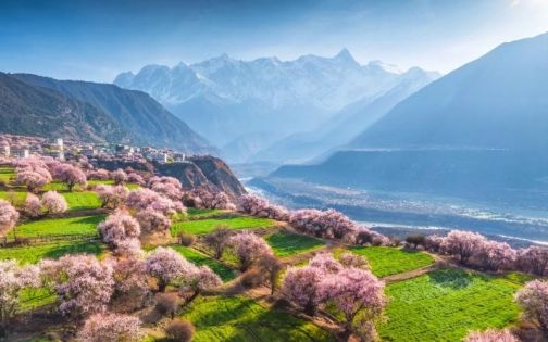 Peach Blossom Festival