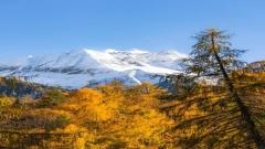 Autumn Tibet Travel Guide:The Best Season for Snow Mountains, Golden Forests and Highland Landscapes