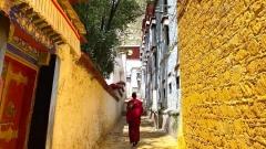 8-Day Classic Tibet Small Group Tour: Lhasa, EBC., Yamdrok Lake & Monasteries