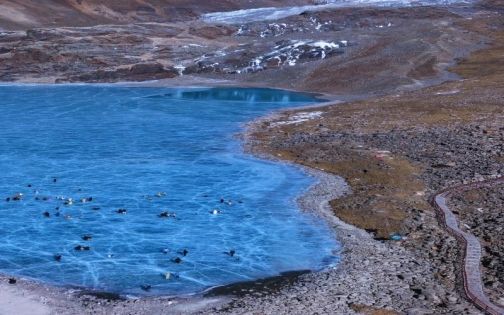 Blue Ice