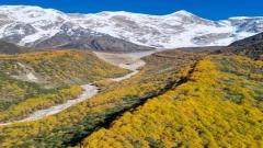 Mount Namcha Barwa Autumn Travel Guide｜Complete Guide to Sunrise Golden Peaks, Transportation, Viewpoints and Free Travel in Songtsam Village, Nyingchi Tibet