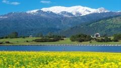 Lulang International Tourism Town Travel Guide: Best Things to Do, Attractions, Hotels, Food & 2-Day Itinerary