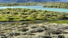 Niyang River Scenic Route Guide :Nyingchi’s Emerald River & Yani Wetland