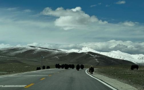 Qinghai-Tibet Highway