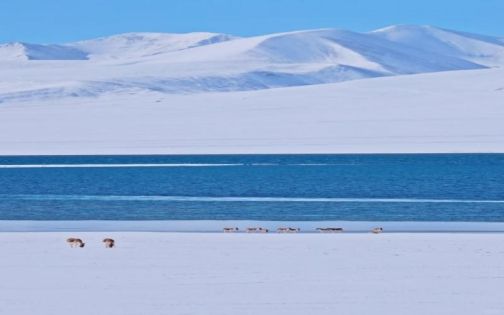 Winter Tibet