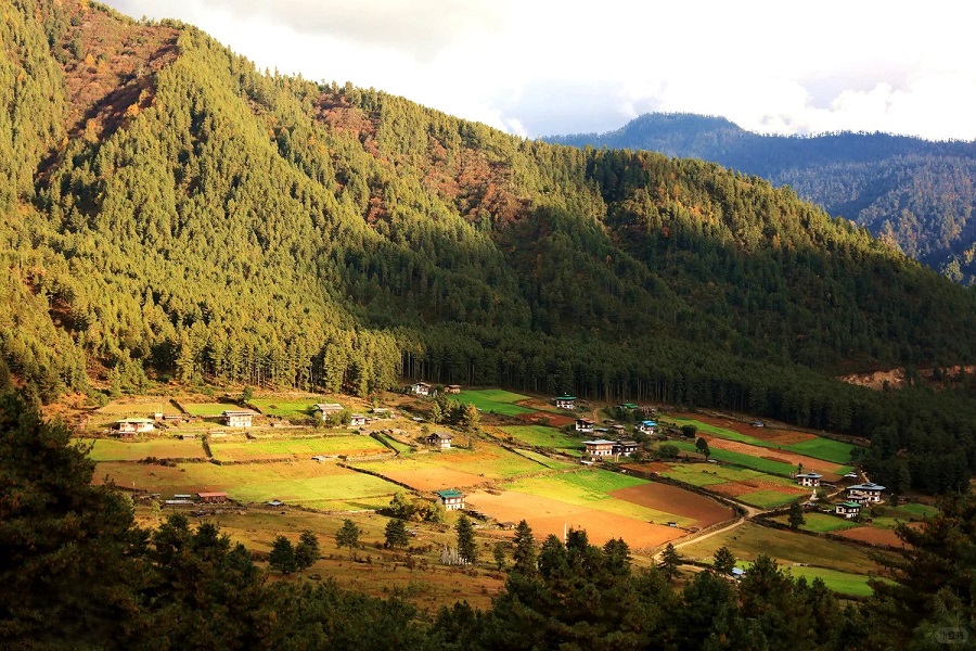 8-Day Bhutan Highlights Tour: Paro, Thimphu, Punakha & Gangtey