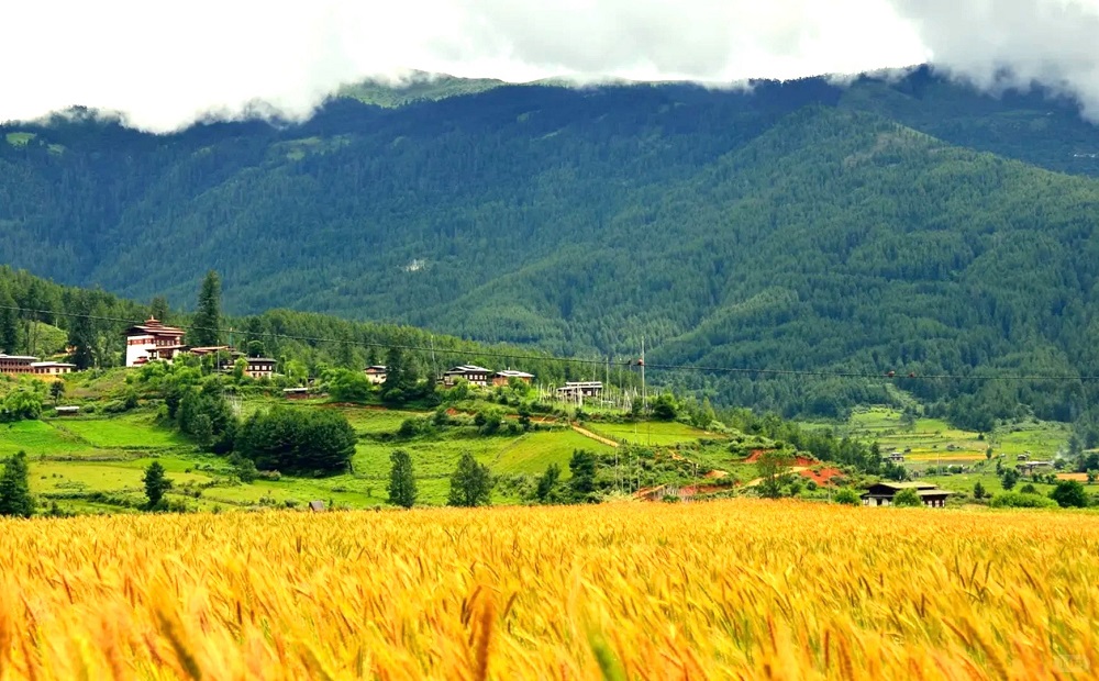 9-Day Bhutan Cultural Discovery: Thimphu, Bumthang & Paro