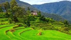 2026 Bhutan Travel Cost: A Complete Guide to Planning Your Trip
