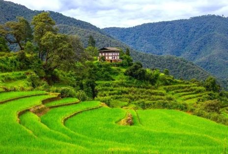 2026 Bhutan Travel Cost: A Complete Guide to Planning Your Trip