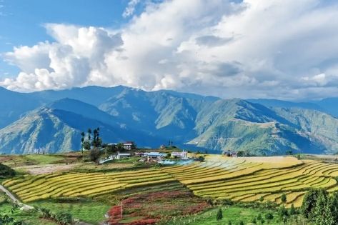 Bhutan Travel