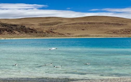 yamdrok lake