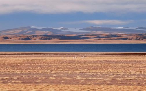 Winter Tibet