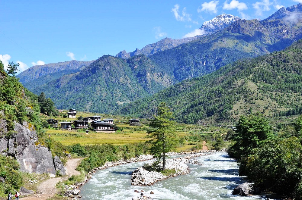 8-Day Bhutan Dagala Trekking Adventure: Paro, Thimphu & High-Altitude Himalayas