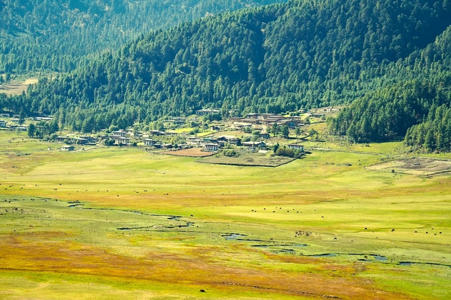 7-Day Bhutan Wonders Tour: Thimphu, Punakha, Gangtey & Paro