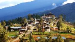 8-Day Bhutan Gangtey Trekking Tour: Thimphu, Gangtey & Paro