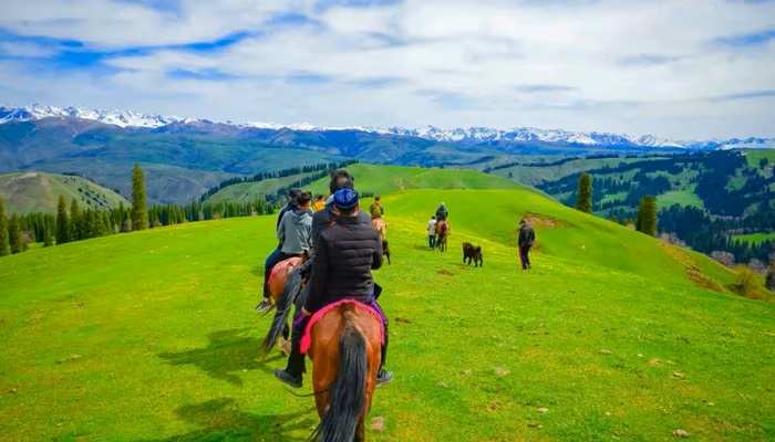 Xinjiang Travel
