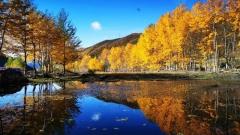 Xinduqiao Travel Guide: Best Attractions, Road Trip & Golden Mountain Views